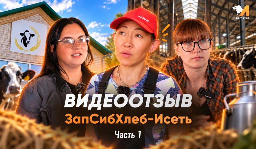 Детальная картинка новости Видеоотзыв ЗапСибХлеб-Исеть | Часть 1
